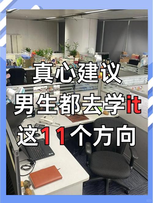 it学什么方向