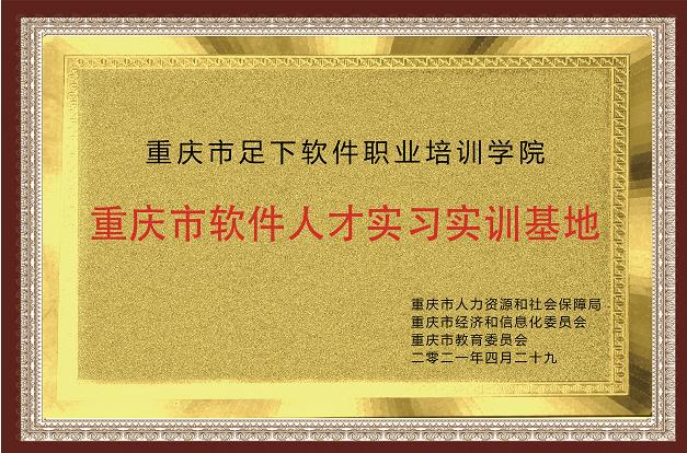重庆软件培训公司有哪些