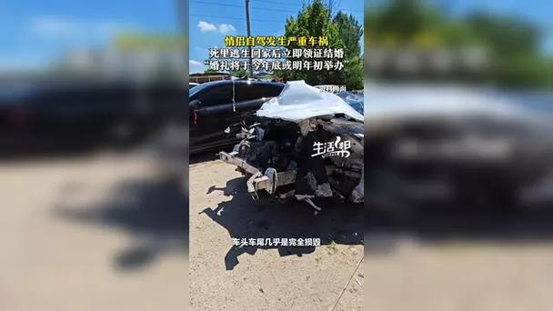 交警回应游客自驾撞死6匹马