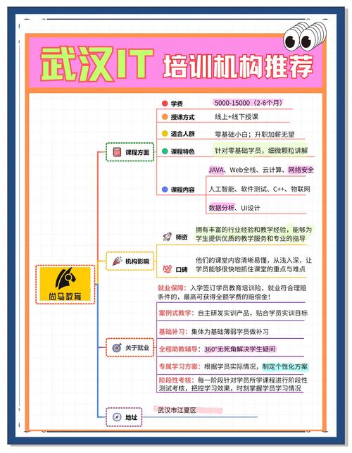 0基础学it学哪个好