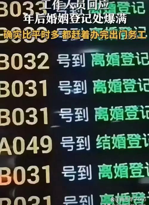 夫妻选车牌 妻子随手摇出6666
