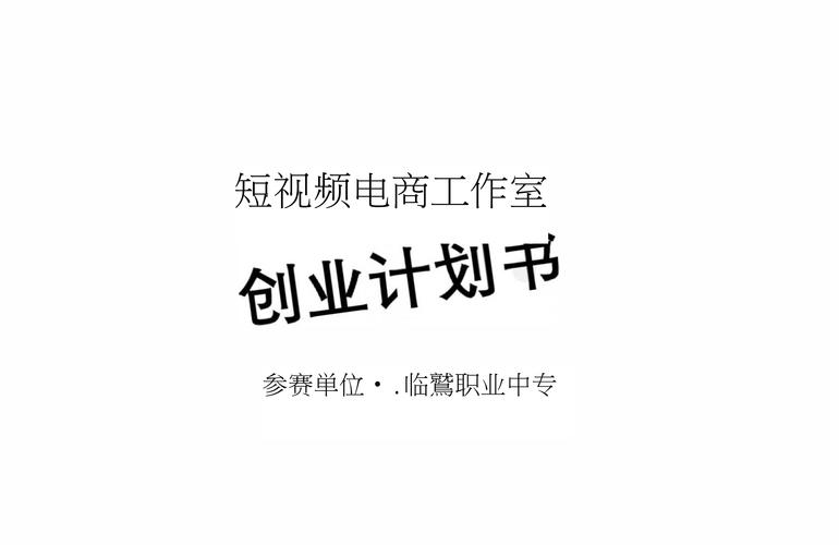 怎么做电商创业项目计划书ppt