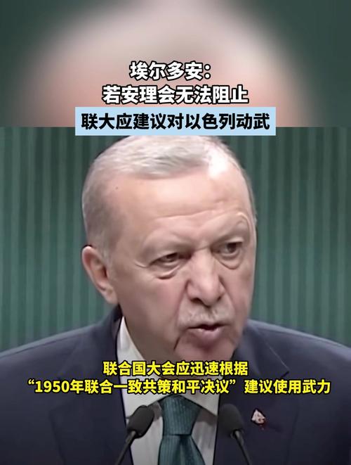 埃尔多安联合国演讲遭限时关麦