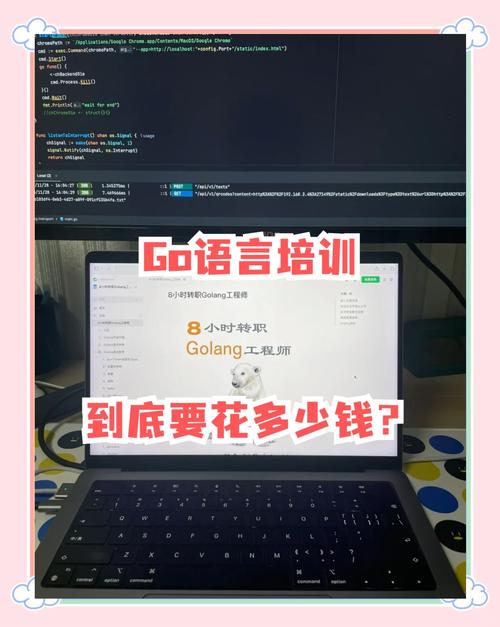go语言培训哪个机构好