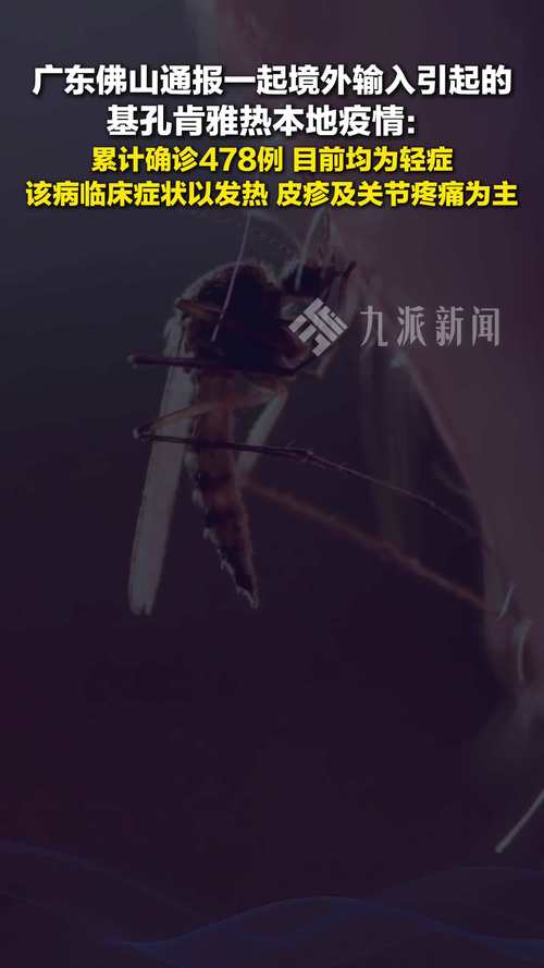 广东新增3153例基孔肯雅热本地个案