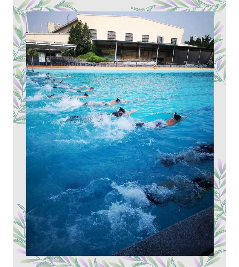 广州潜水学校如何
