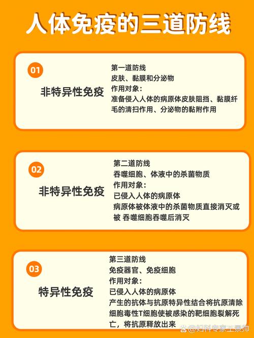 他们找到了免疫系统的“安全卫士”