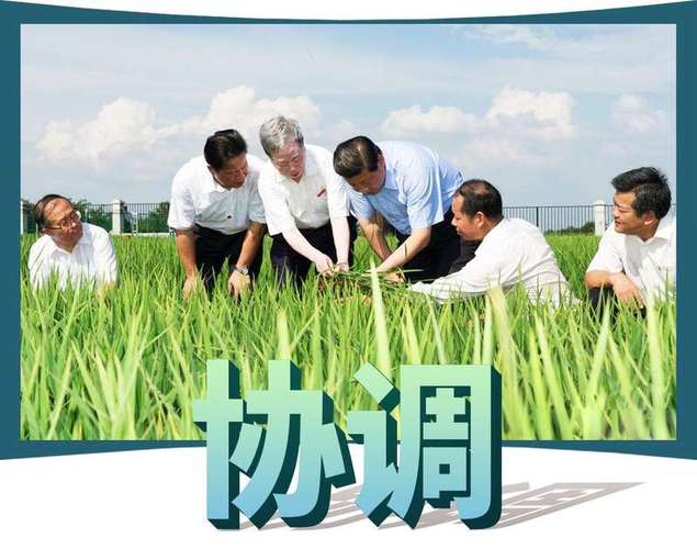 跟着总书记一起厚植文化底蕴