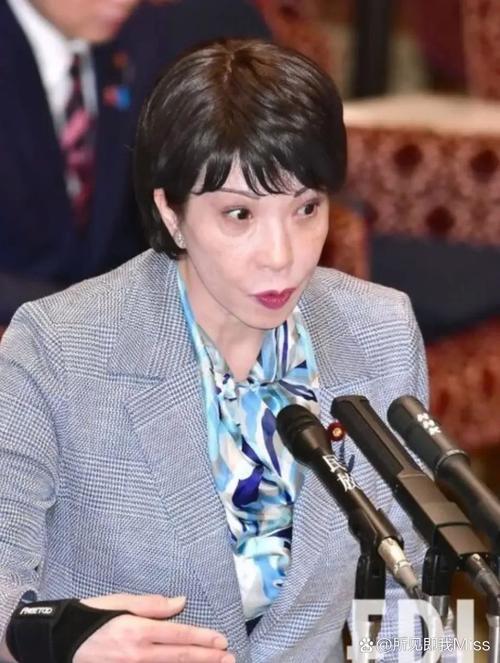 日外相期待高市早苗构筑与中韩关系