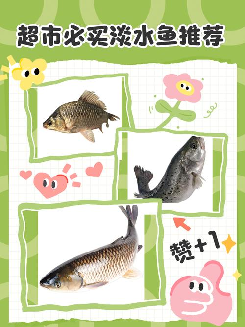 卖观赏鱼电商怎么做的呢