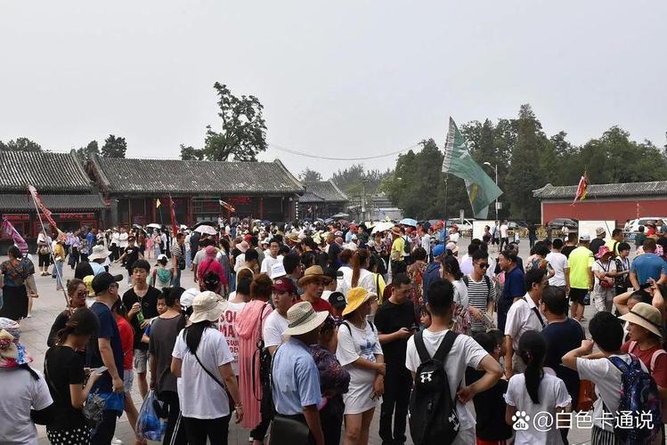 长假一群人带着绿豆游遍祖国