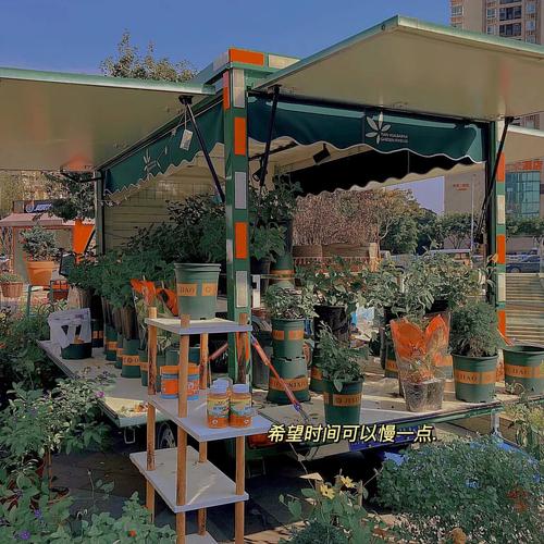 风扇花店怎么修