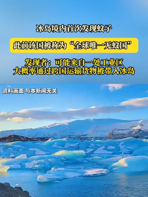 现在只剩南极没蚊子了