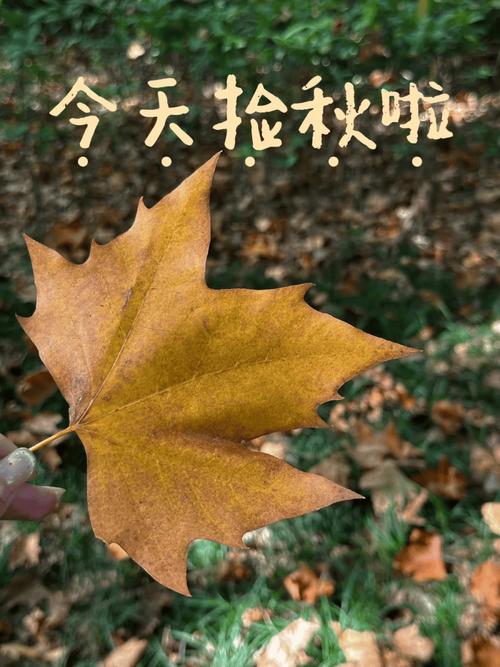 “捡秋”有风险 尝鲜需谨慎
