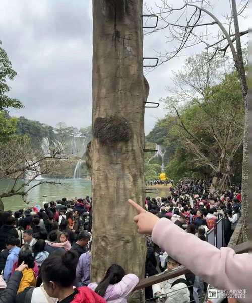 谁“偷走”了5A景区的游客