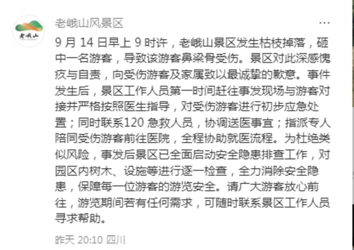 成都一景区古柳突倾倒 两游客被砸伤