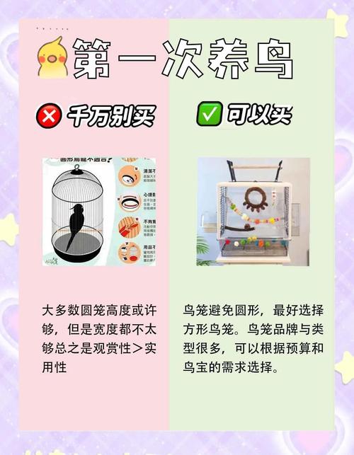 最高法提醒：这些鸟不能随意捕
