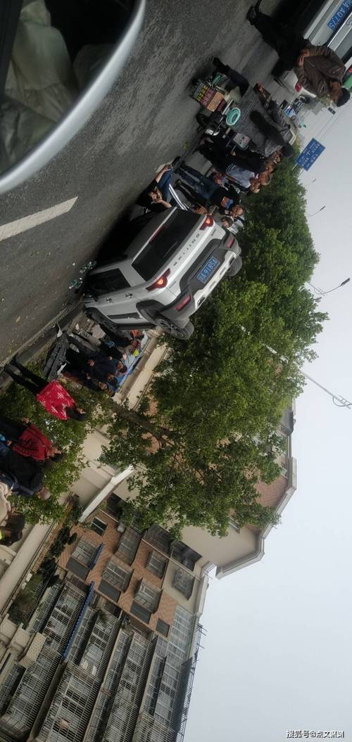 巴厘岛车祸系因下坡弯道路段撞树