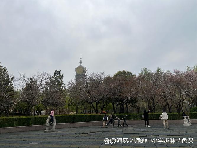 上海交大开了爬树课