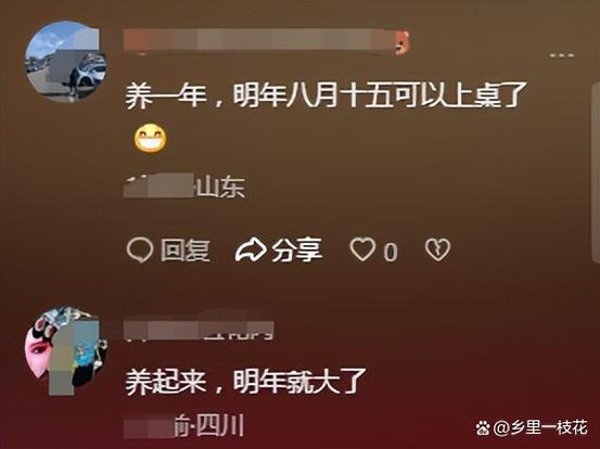9.9元网购的“它”半夜烧了家