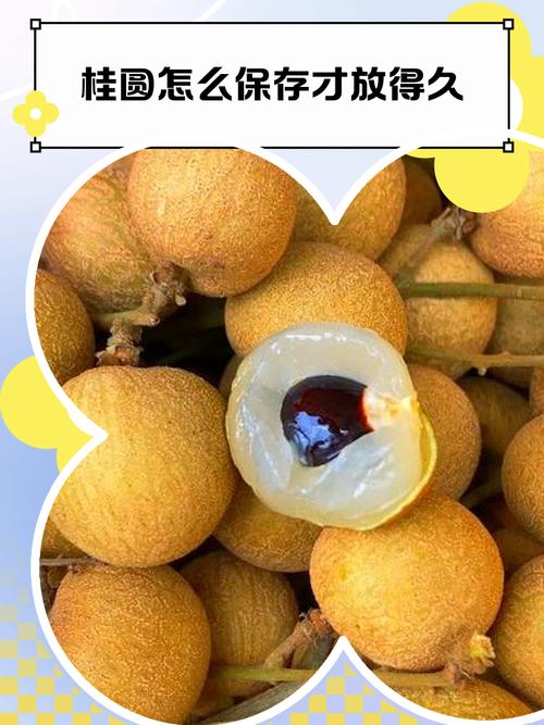 桂园怎么保存