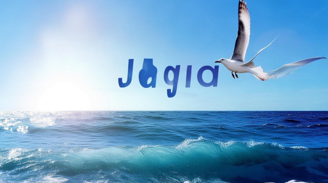 蓝鸥java是什么